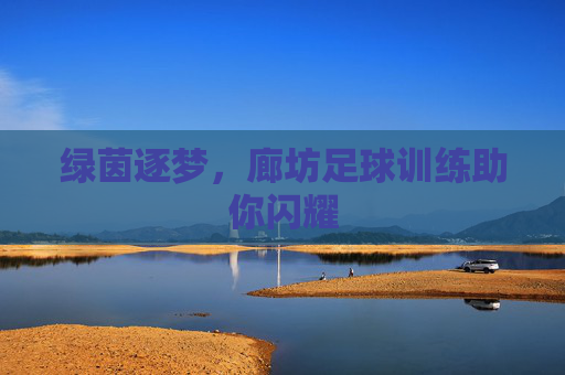 绿茵逐梦,廊坊足球训练助你闪耀