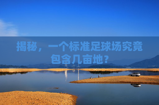 揭秘,一个标准足球场究竟包含几亩地?