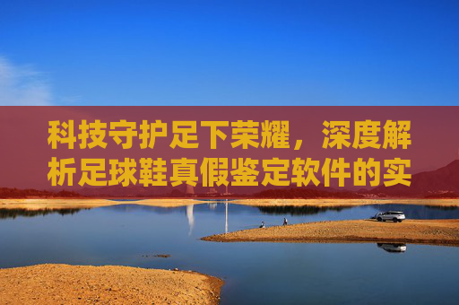 科技守护足下荣耀，深度解析足球鞋真假鉴定软件的实用指南