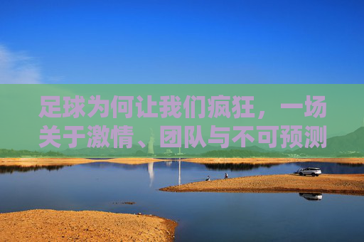 足球为何让我们疯狂，一场关于激情、团队与不可预测性的终极解读