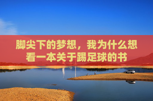 脚尖下的梦想,我为什么想看一本关于踢足球的书