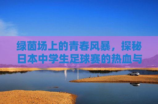 绿茵场上的青春风暴,探秘日本中学生足球赛的热血与荣耀