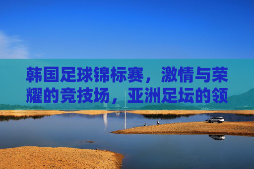 韩国足球锦标赛,激情与荣耀的竞技场,亚洲足坛的领跑者