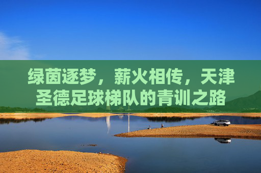 绿茵逐梦,薪火相传,天津圣德足球梯队的青训之路