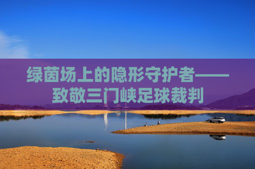 绿茵场上的隐形守护者——致敬三门峡足球裁判