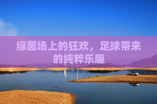 绿茵场上的狂欢,足球带来的纯粹乐趣