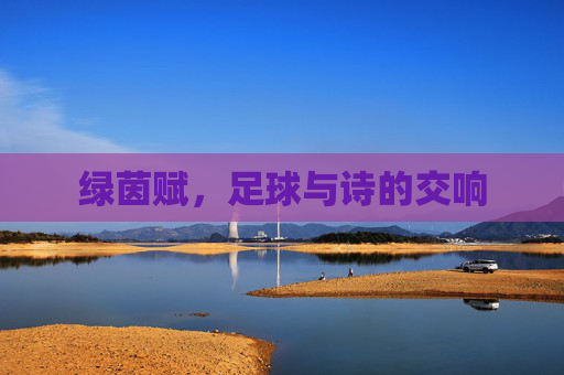 绿茵赋，足球与诗的交响