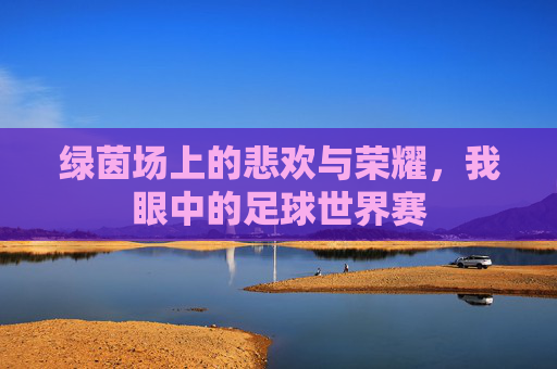 绿茵场上的悲欢与荣耀，我眼中的足球世界赛
