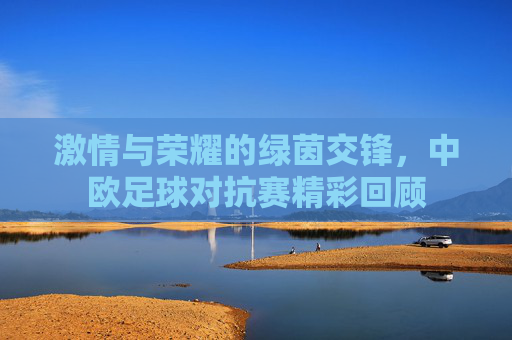 激情与荣耀的绿茵交锋,中欧足球对抗赛精彩回顾