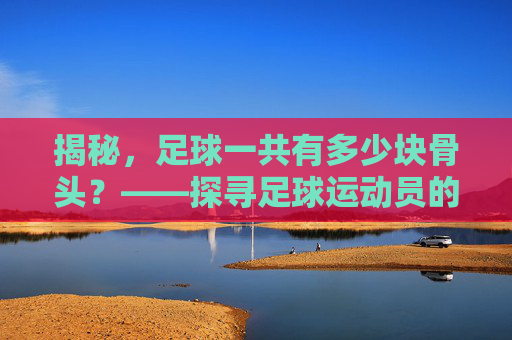 揭秘，足球一共有多少块骨头？——探寻足球运动员的身体构造