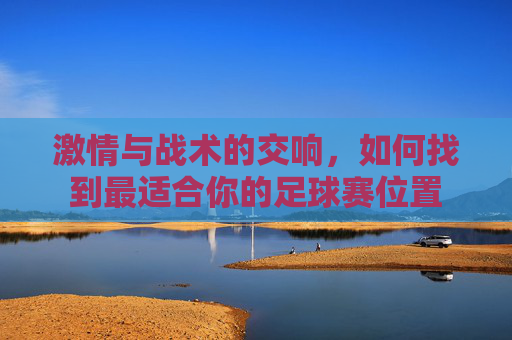 激情与战术的交响,如何找到最适合你的足球赛位置