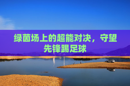 绿茵场上的超能对决,守望先锋踢足球
