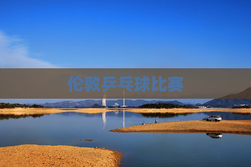 伦敦乒乓球比赛