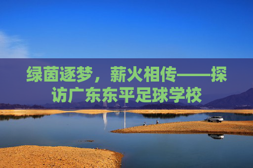 绿茵逐梦，薪火相传——探访广东东平足球学校