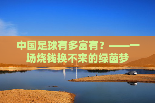 中国足球有多富有?——一场烧钱换不来的绿茵梦
