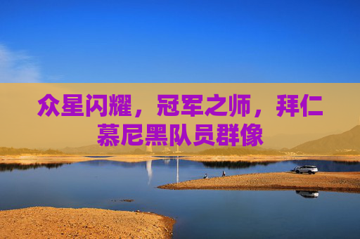 众星闪耀,冠军之师,拜仁慕尼黑队员群像