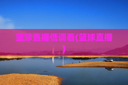篮球直播低调看(篮球直播)