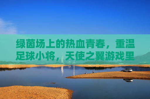 绿茵场上的热血青春,重温足球小将,天使之翼游戏里的那个夏天