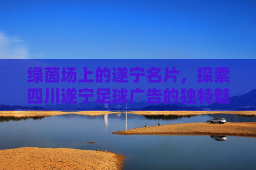 绿茵场上的遂宁名片,探索四川遂宁足球广告的独特魅力