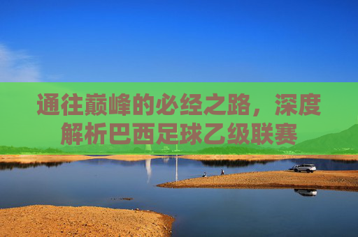 通往巅峰的必经之路,深度解析巴西足球乙级联赛