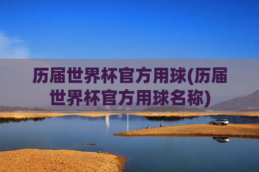 历届世界杯官方用球(历届世界杯官方用球名称)