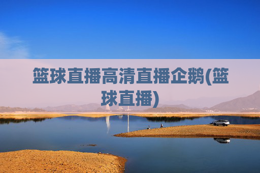 篮球直播高清直播企鹅(篮球直播)