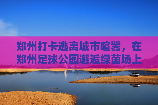 郑州打卡逃离城市喧嚣,在郑州足球公园邂逅绿茵场上的热血与自由