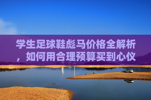 学生足球鞋彪马价格全解析,如何用合理预算买到心仪战靴