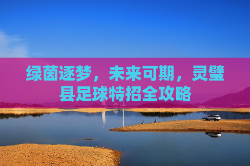 绿茵逐梦，未来可期，灵璧县足球特招全攻略