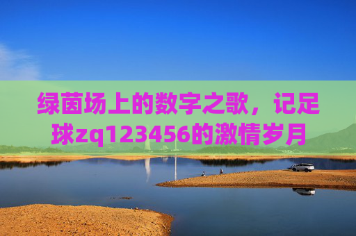 绿茵场上的数字之歌,记足球zq123456的激情岁月
