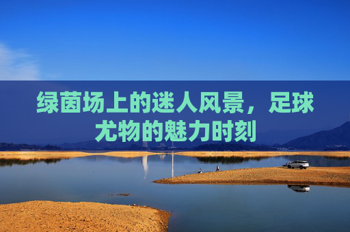 绿茵场上的迷人风景,足球尤物的魅力时刻