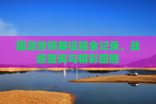 国足世预赛征程全记录,战绩查询与精彩回顾