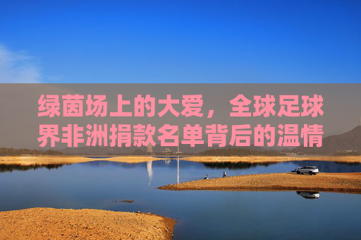 绿茵场上的大爱,全球足球界非洲捐款名单背后的温情与担当