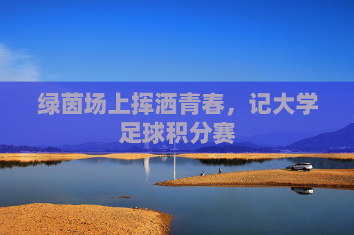 绿茵场上挥洒青春,记大学足球积分赛