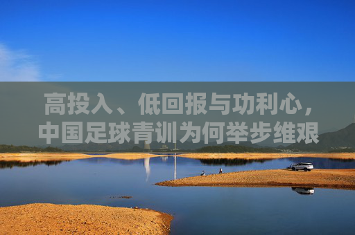 高投入、低回报与功利心,中国足球青训为何举步维艰?
