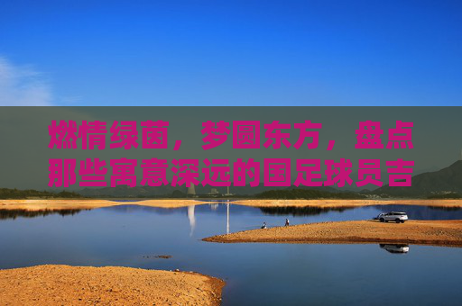 燃情绿茵,梦圆东方,盘点那些寓意深远的国足球员吉祥物名字