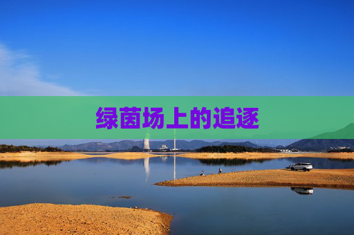 绿茵场上的追逐