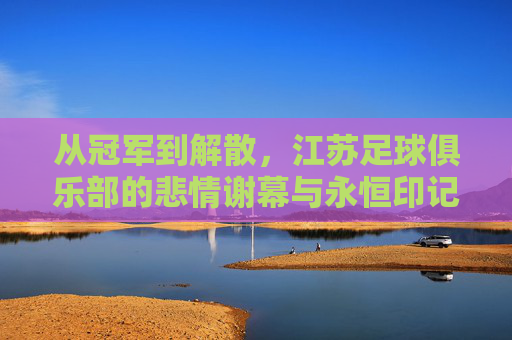 从冠军到解散,江苏足球俱乐部的悲情谢幕与永恒印记