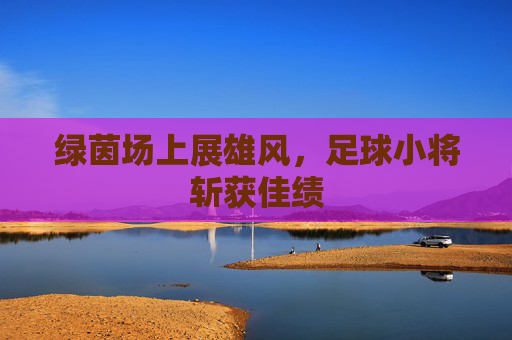 绿茵场上展雄风,足球小将斩获佳绩