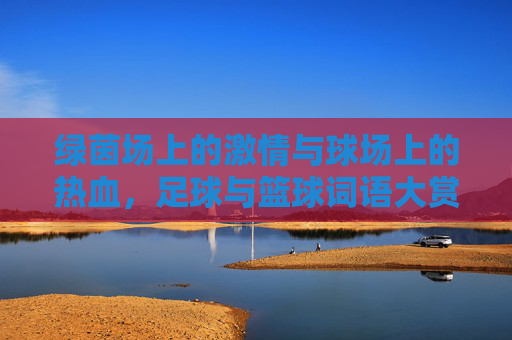 绿茵场上的激情与球场上的热血，足球与篮球词语大赏