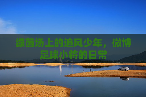 绿茵场上的追风少年,微博足球小将的日常