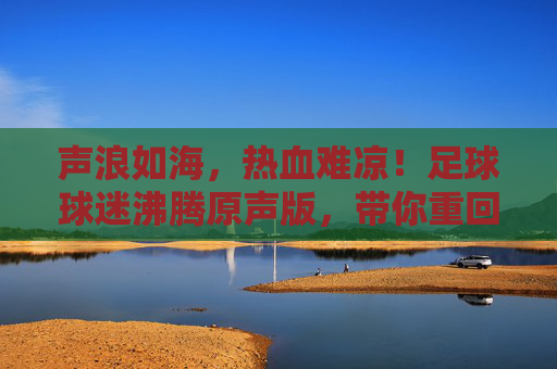 声浪如海,热血难凉!足球球迷沸腾原声版,带你重回现场
