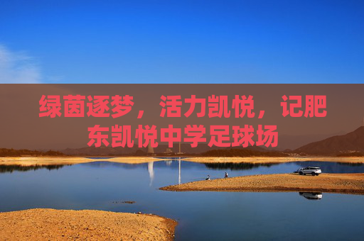 绿茵逐梦,活力凯悦,记肥东凯悦中学足球场