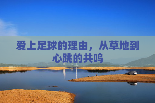 爱上足球的理由,从草地到心跳的共鸣
