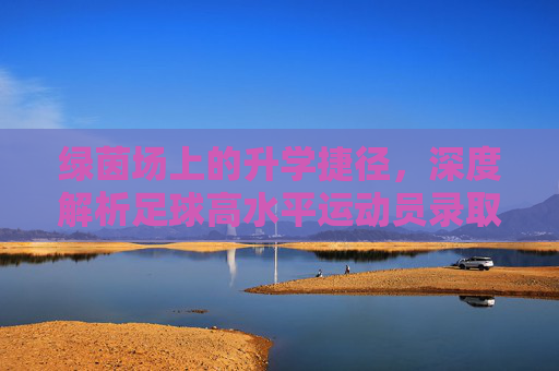 绿茵场上的升学捷径,深度解析足球高水平运动员录取标准