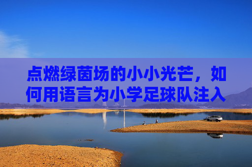 点燃绿茵场的小小光芒,如何用语言为小学足球队注入能量