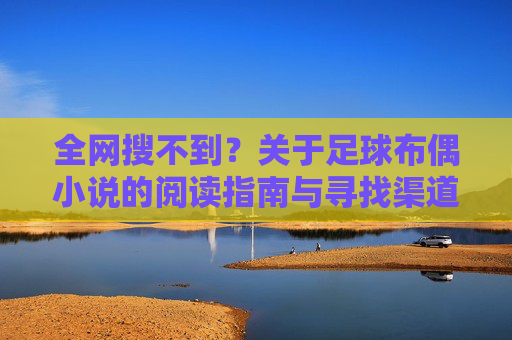 全网搜不到?关于足球布偶小说的阅读指南与寻找渠道全解析