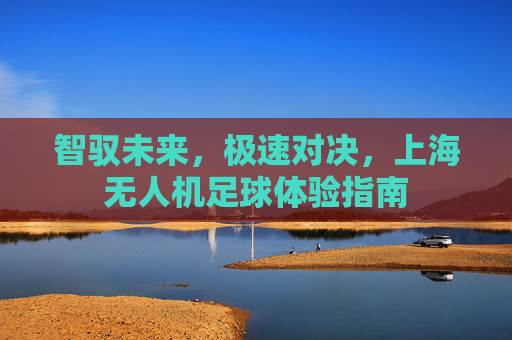 智驭未来,极速对决,上海无人机足球体验指南