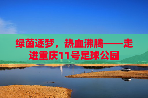 绿茵逐梦,热血沸腾——走进重庆11号足球公园