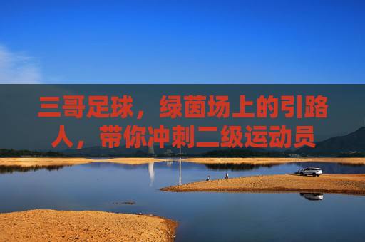 三哥足球,绿茵场上的引路人,带你冲刺二级运动员